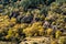 Rocky autumn landscape with colorful forest