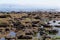 Rocky beach - Durham Heritage Coast