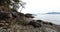 Rocky Beach at High Tide in Washington Park