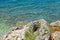 Rocky beach in Istria, Croatia