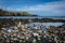 Rocky beach in Stonehaven with a cliff in the background, Scotland, United Kingdom