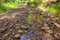 rocky bottom dry rivers flowing in the Ural mountains and taiga