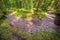 rocky bottom dry rivers flowing in the Ural mountains and taiga