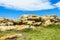 Rocky Boulders Coastline