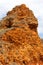 Rocky clay cliffs at the beach