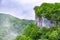 Rocky cliff in dense green forest. Mountain forest in the fog