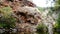 Rocky cliffs near a tranquil small lake surrounded by trees