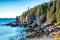 Rocky coast of Acadia national park