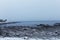 Rocky coast of the Atlantic Ocean covered with snow. Gloomy Winter Atlantic Ocean. USA. Maine.