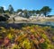 Rocky coast and colorful seaweeds Atlantic ocean