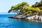 Rocky coast of the Croatian island of Lastovo. Pine trees on seacoast. View from the deck of the yacht. Holiday in Croatia.