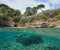 Rocky coast fish underwater Mediterranean Spain