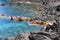 Rocky coast of Graciosa island