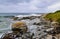 Rocky coast with huge seaweed tubes and wild sea