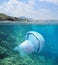 Rocky coast with jellyfish underwater sea France