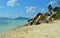 Rocky coast of La Digue island