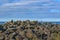 Rocky Coast Landscape, Galapagos, Ecuador