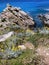 Rocky coast with low plant growth and blue sea in the background