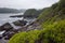Rocky coast with lush foliage on cliffs