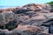 Rocky coast of pink granite