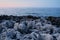 Rocky coast. Sharp stone rows, breaking waves. Majestic landscapes blue tint