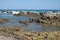 Rocky coast in south africa