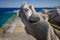 Rocky coast, Testa cape, Sardinia