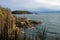 Rocky coast and trees on pacific coast