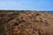 Rocky coastline