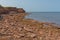 Rocky Coastline and Grassy Cliffs