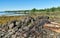 Rocky coastline at low tide at Searsport, Maine