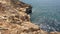 Rocky coastline near Carvoeiro