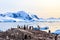 Rocky coastline overcrowded by gentoo pengins and glacier with i