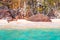 Rocky coastline with a wish tree, hanging corals on tree branches, sea paradise landscape