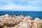Rocky coasts on the northern part of the island of Sardinia