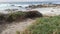Rocky craggy ocean coast, Monterey California. Footpath walkway or footway trail