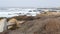 Rocky craggy ocean coast, sea waves, Monterey California. Wooden empty bench.