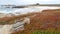 Rocky craggy ocean coast, sea waves, Monterey California. Wooden empty bench.