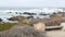 Rocky craggy ocean coast, sea waves, Monterey California. Wooden empty bench.