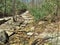 Rocky Crossing along Big Sandy Creek at Stone Mountain State Park