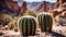 A rocky desert canyon with cactus plants