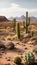 Rocky Desert Landscape with Cactus Plants and Arid Terrain