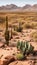 Rocky Desert Landscape with Cactus Plants and Arid Terrain