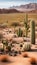 Rocky Desert Landscape with Cactus Plants and Arid Terrain