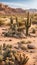 Rocky Desert Landscape with Cactus Plants and Arid Terrain