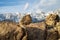 Rocky desert landscape and snowy Sierra Nevada mountain range in Alabama Hills California