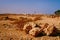 Rocky desert, the Sinai Peninsula, Egypt.