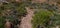 Rocky Dry Streambed in Mojave Desert