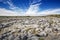 Rocky field in County Clare