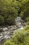 Rocky flowing creek